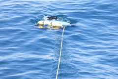 The ROV returns
