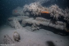 DSC_2197