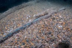 DSC_2204